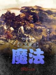 魔法叫什么呢